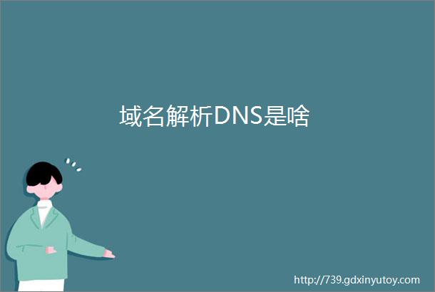域名解析DNS是啥